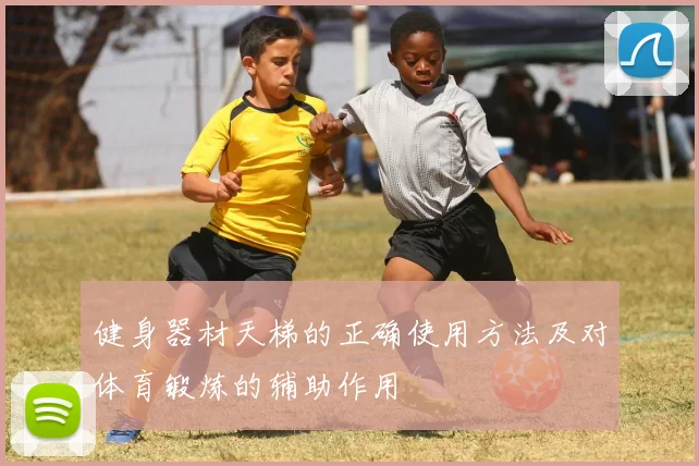 健身器材天梯的正确使用方法及对体育锻炼的辅助作用