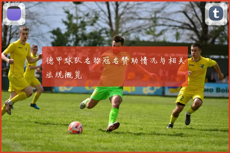 德甲球队名称冠名赞助情况与相关法规概览