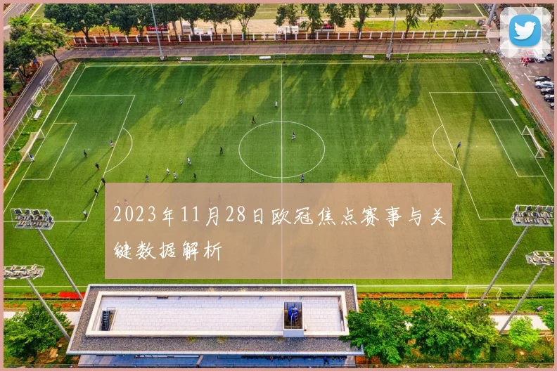 2023年11月28日欧冠焦点赛事与关键数据解析