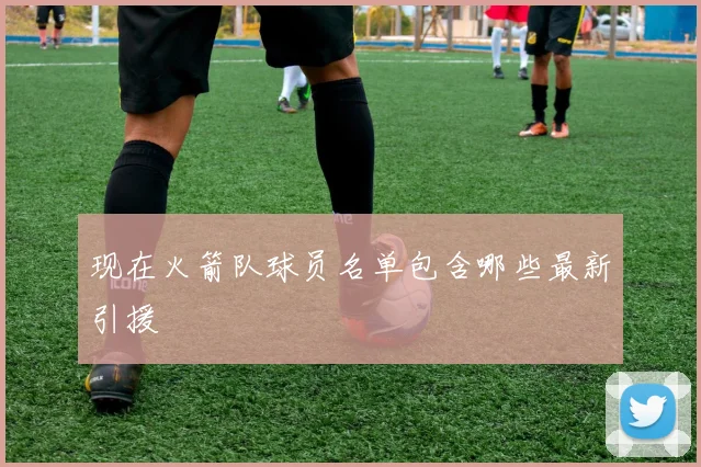 现在火箭队球员名单包含哪些最新引援